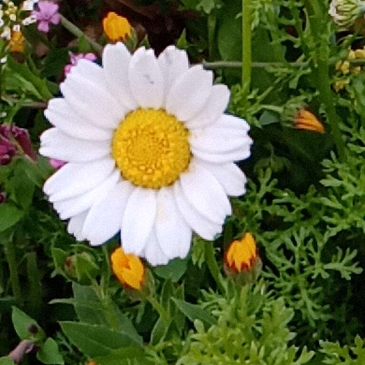 My Crowdsourcing Posts