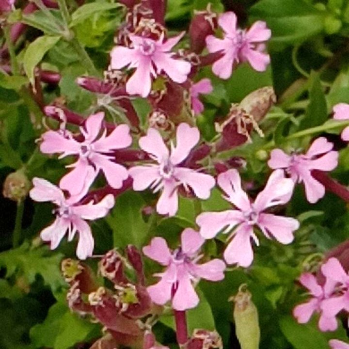 My Crowdsourcing Posts