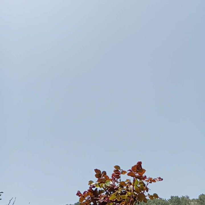 My Crowdsourcing Posts