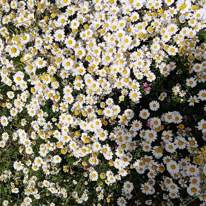 My Crowdsourcing Posts