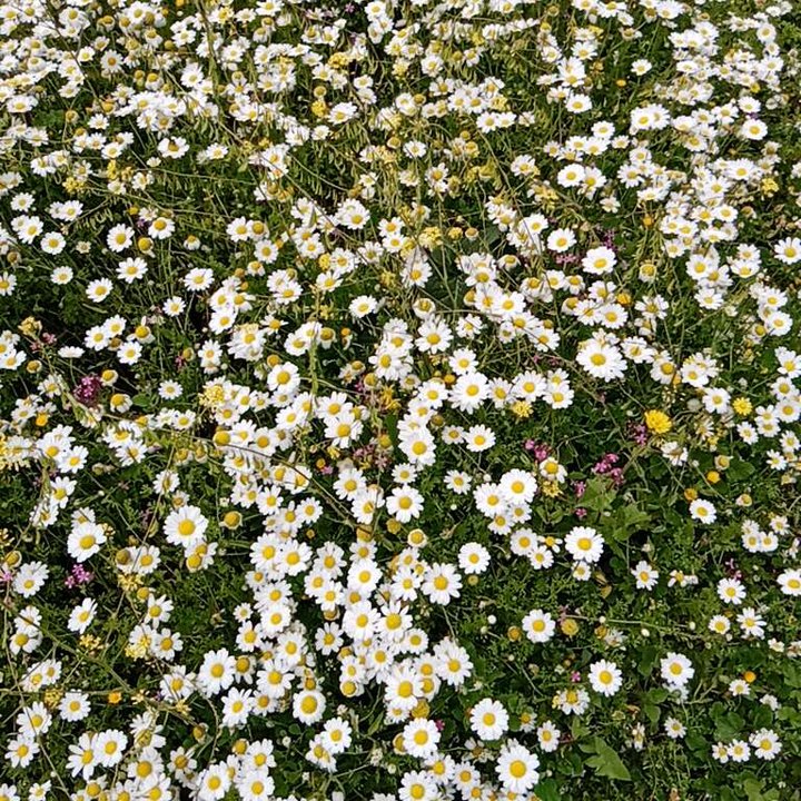 My Crowdsourcing Posts