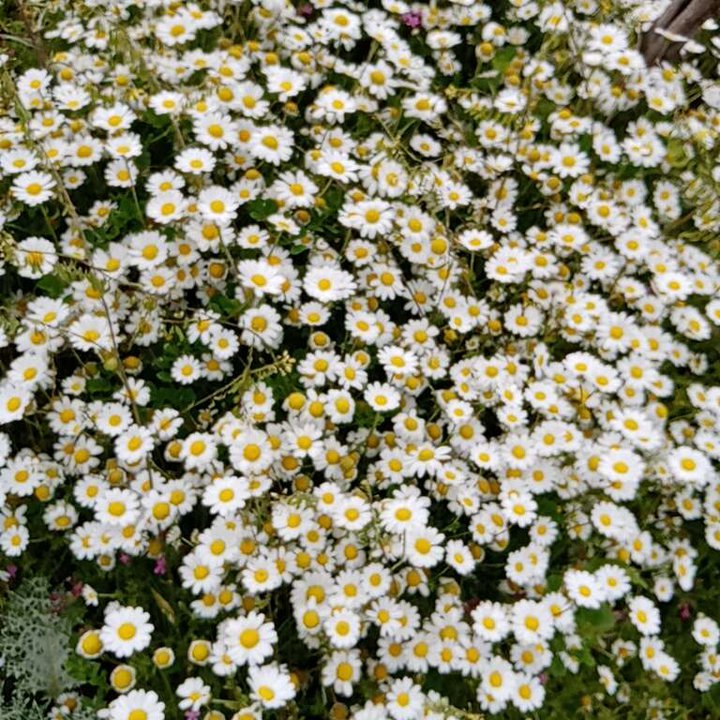 My Crowdsourcing Posts