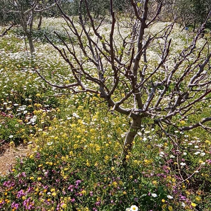 My Crowdsourcing Posts