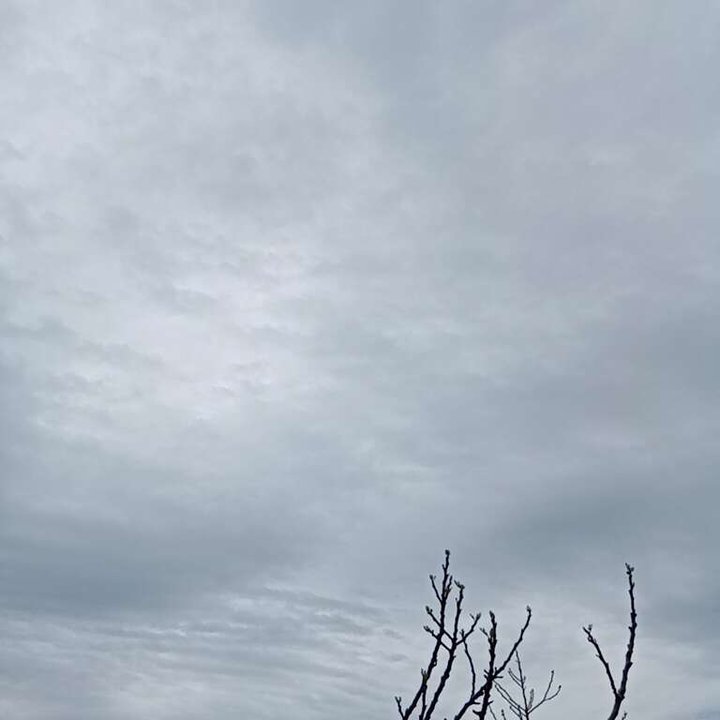 My Crowdsourcing Posts