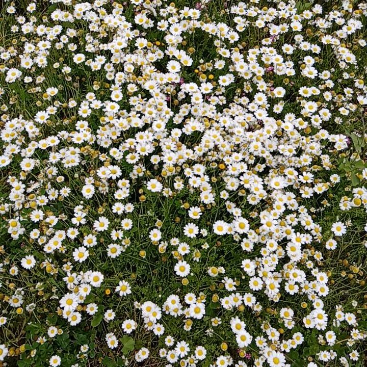 My Crowdsourcing Posts