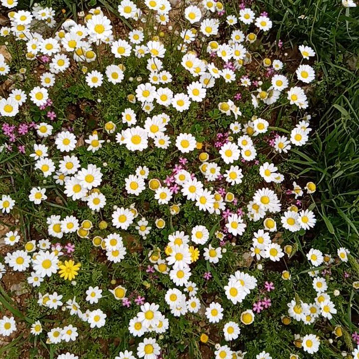 My Crowdsourcing Posts