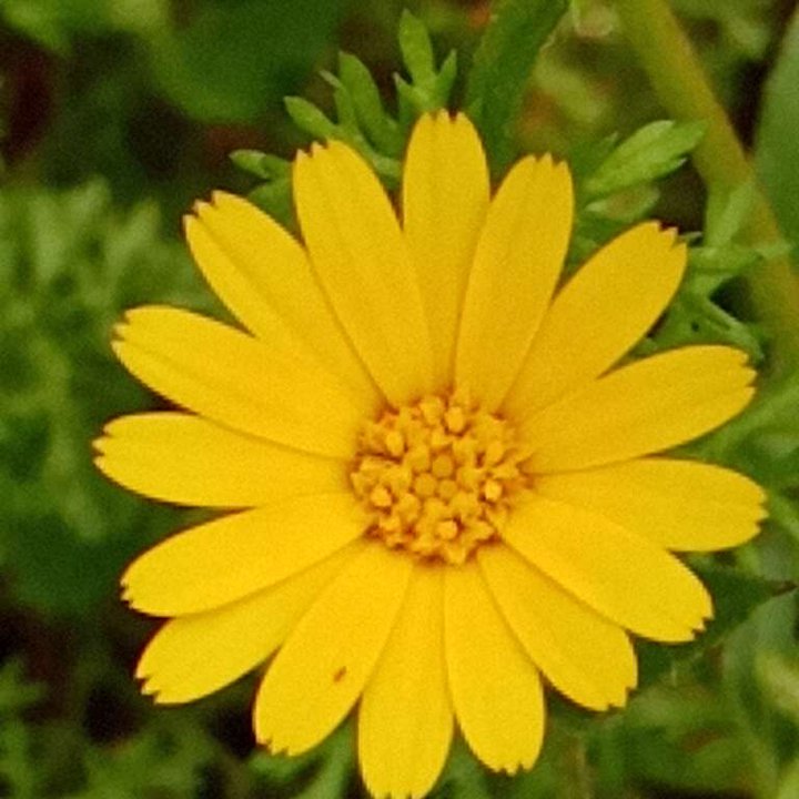 My Crowdsourcing Posts