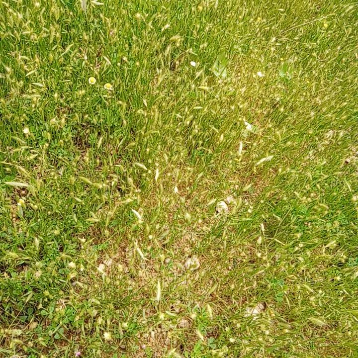 My Crowdsourcing Posts