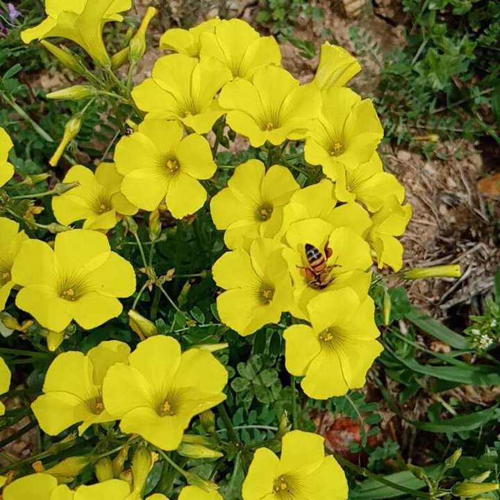 My Crowdsourcing Posts