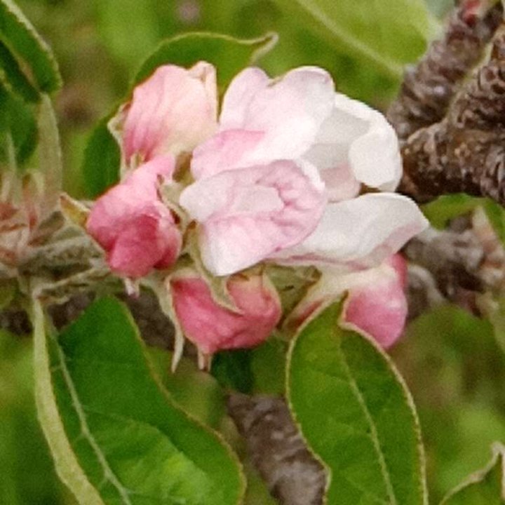 My Crowdsourcing Posts