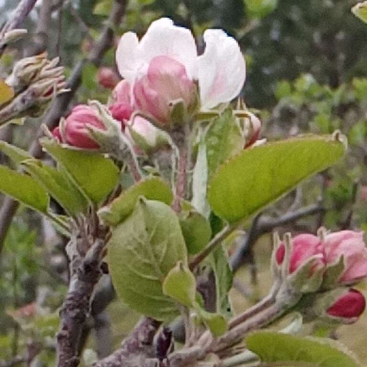 My Crowdsourcing Posts