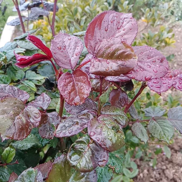 My Crowdsourcing Posts