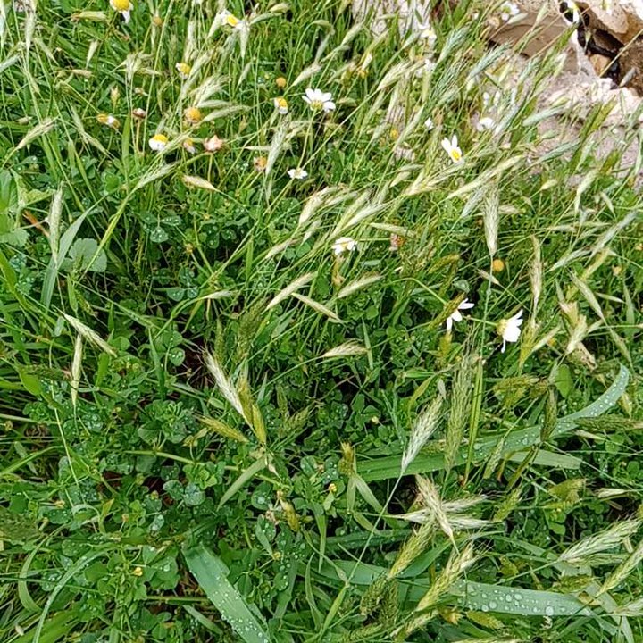 My Crowdsourcing Posts