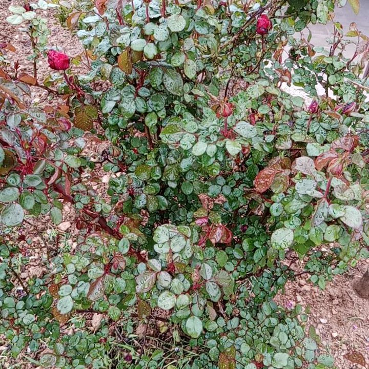 My Crowdsourcing Posts