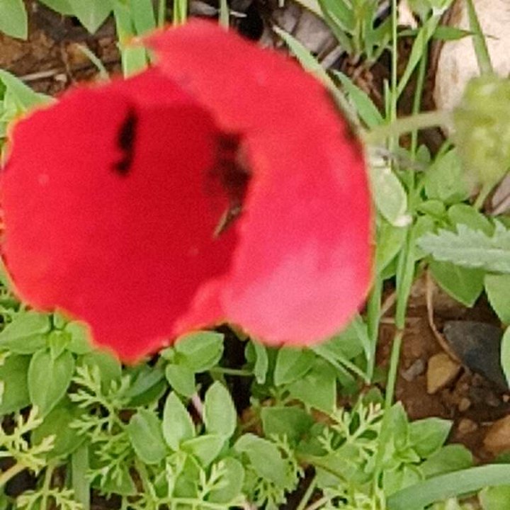 My Crowdsourcing Posts