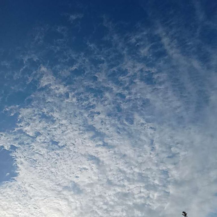 My Crowdsourcing Posts