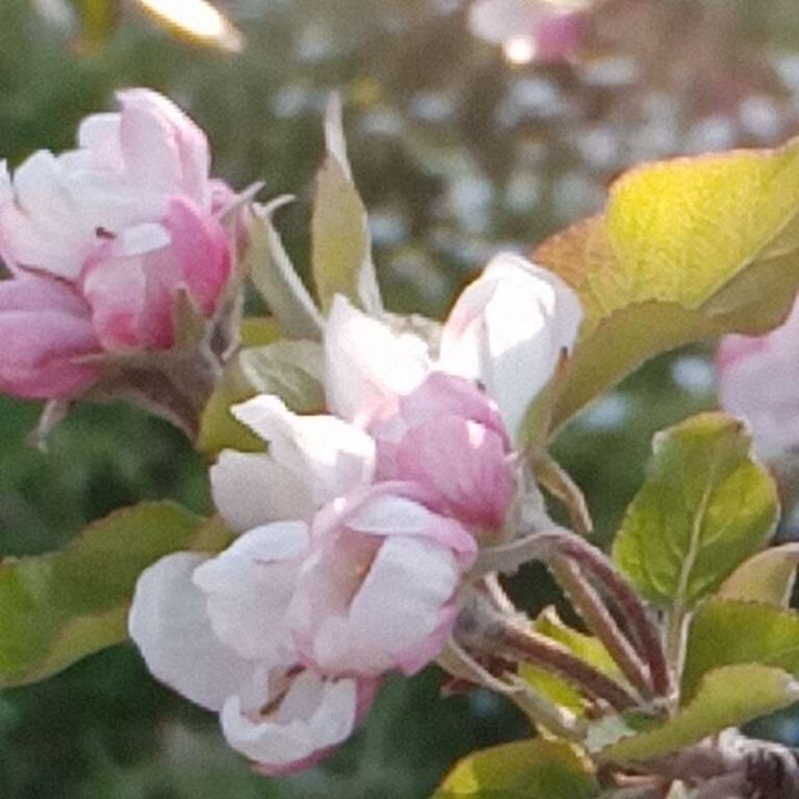 My Crowdsourcing Posts