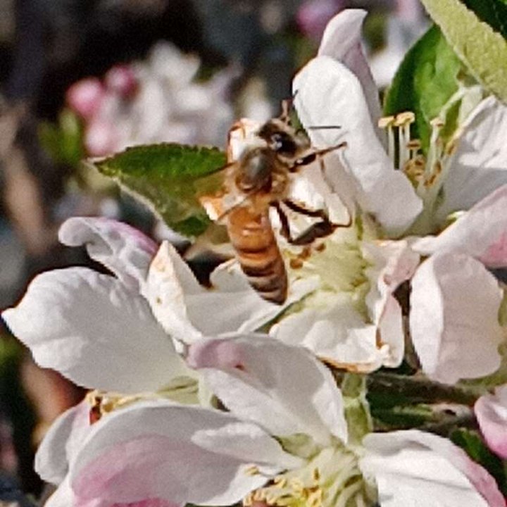 My Crowdsourcing Posts