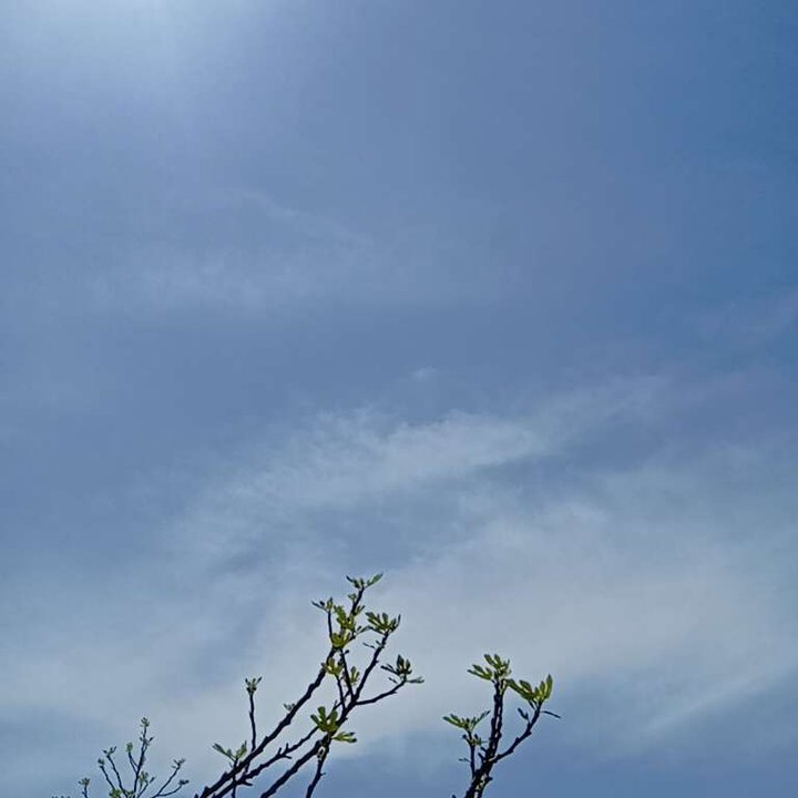 My Crowdsourcing Posts