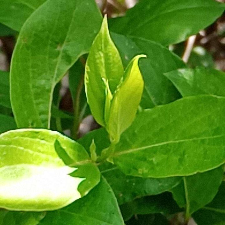 My Crowdsourcing Posts