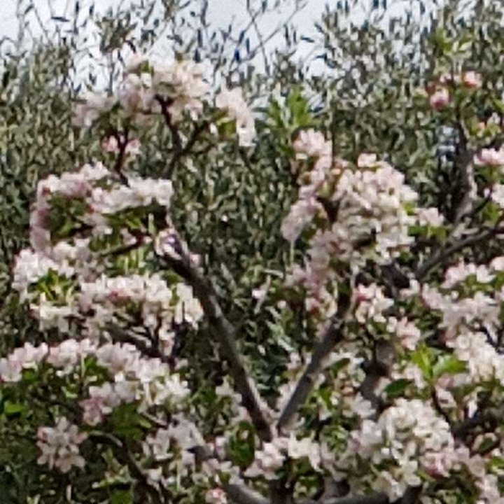 My Crowdsourcing Posts