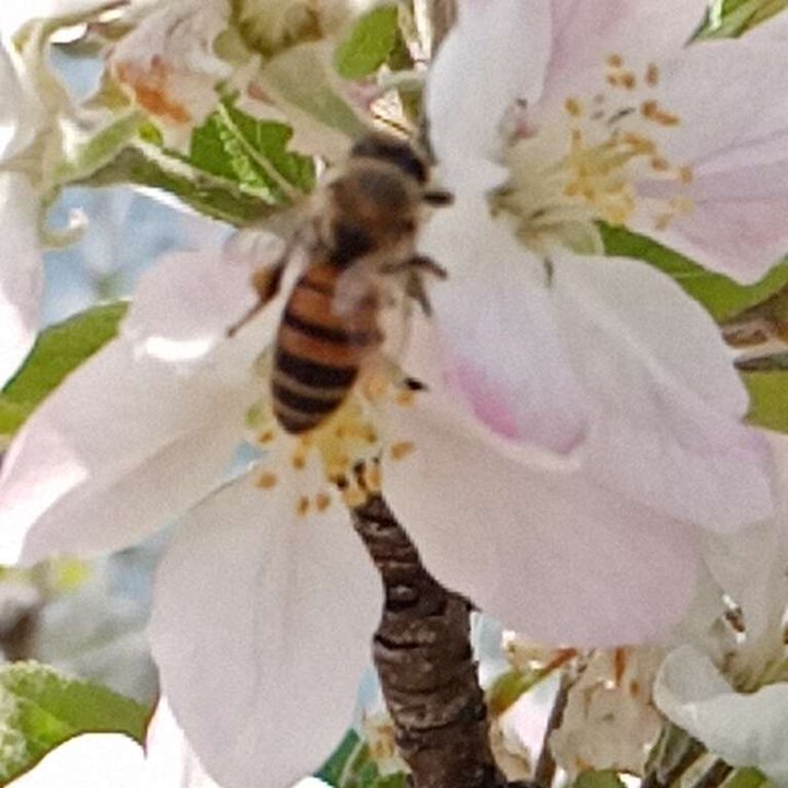 My Crowdsourcing Posts