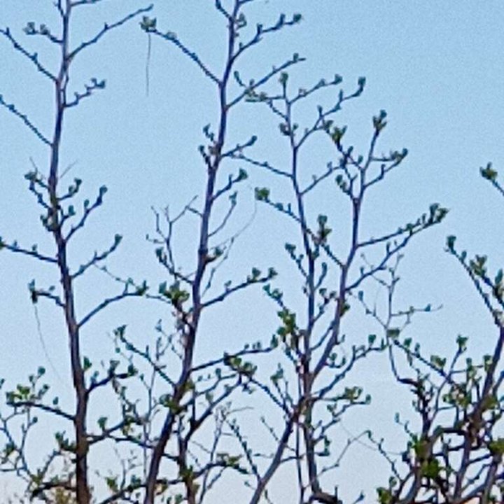 My Crowdsourcing Posts