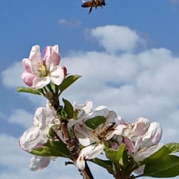 My Crowdsourcing Posts