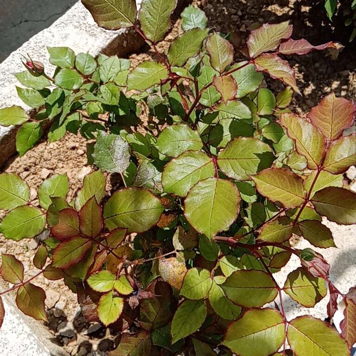 My Crowdsourcing Posts