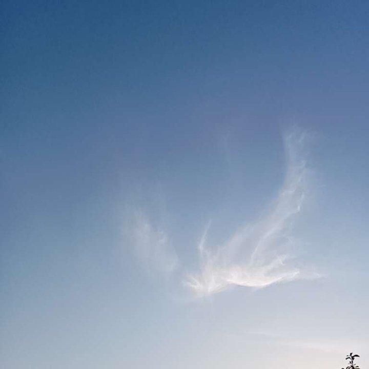 My Crowdsourcing Posts