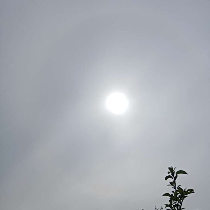 My Crowdsourcing Posts