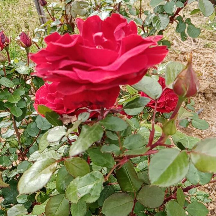 My Crowdsourcing Posts