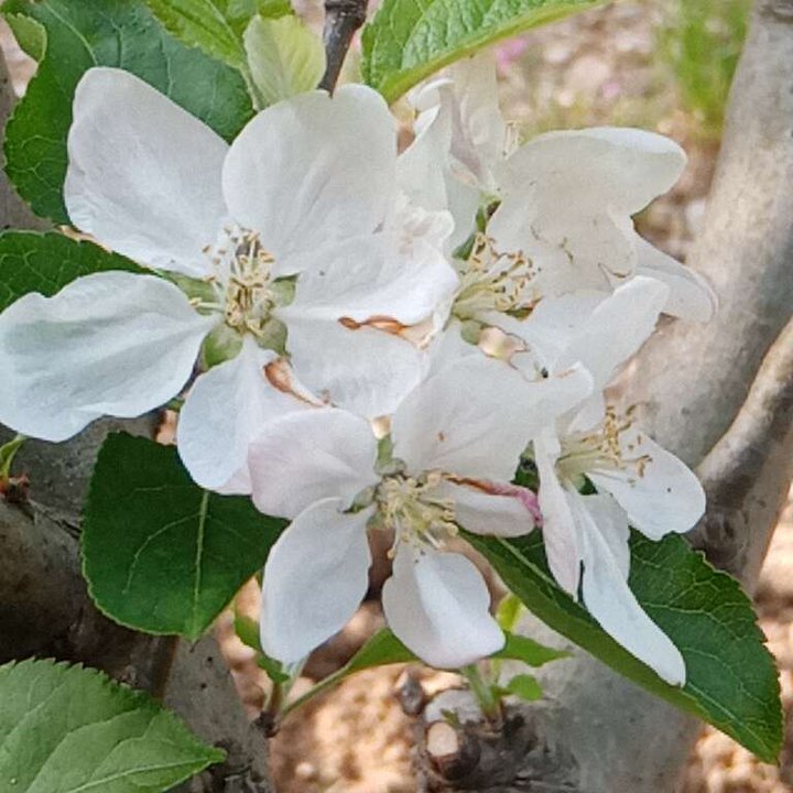 My Crowdsourcing Posts