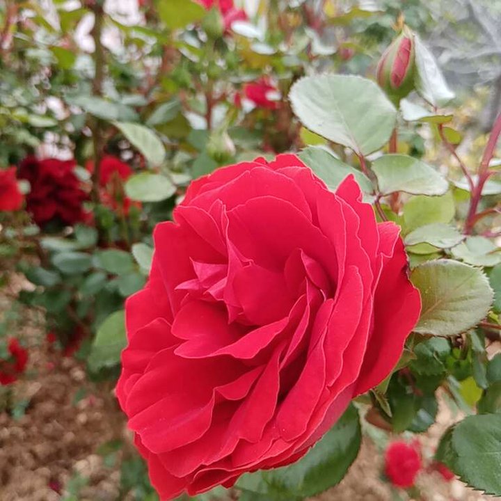 My Crowdsourcing Posts