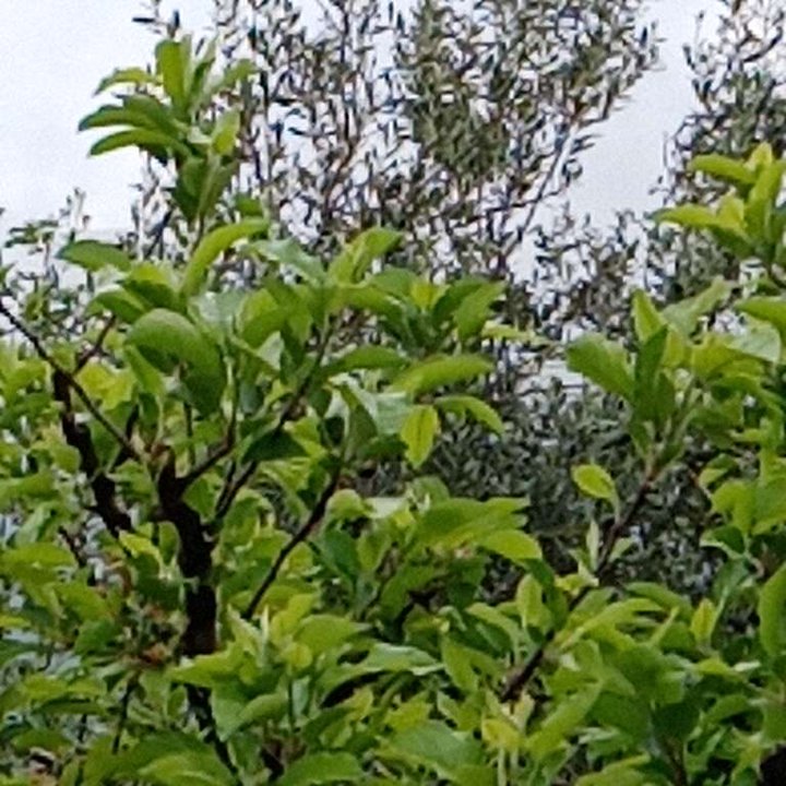 My Crowdsourcing Posts