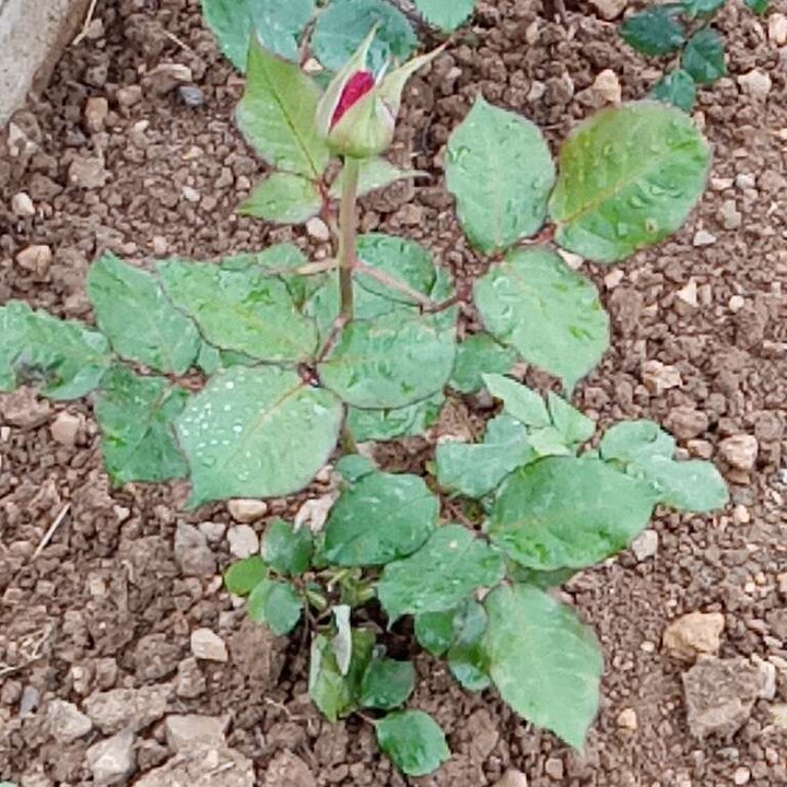 My Crowdsourcing Posts