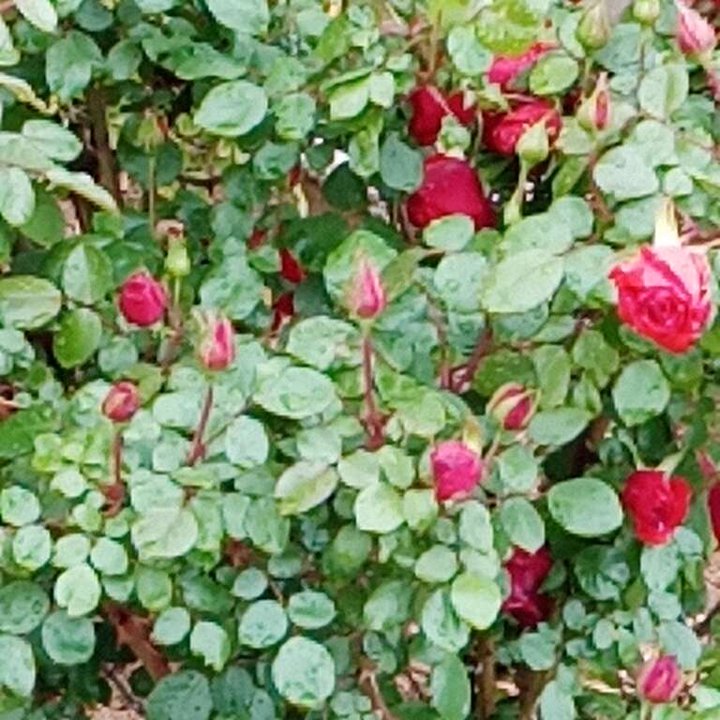 My Crowdsourcing Posts