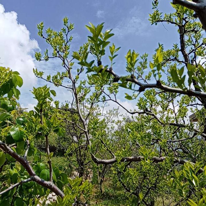 My Crowdsourcing Posts