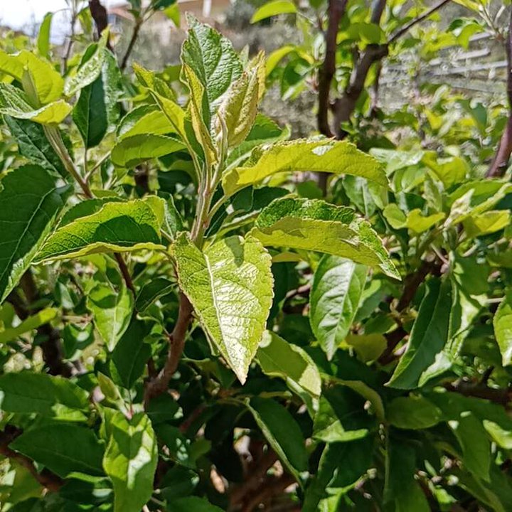 My Crowdsourcing Posts