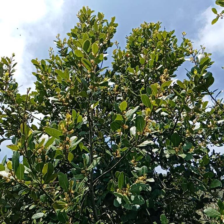 My Crowdsourcing Posts