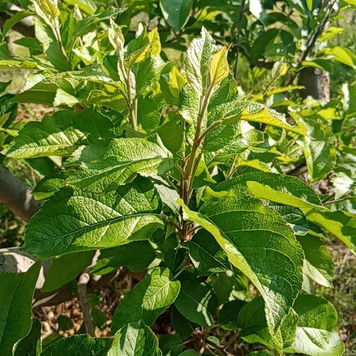 My Crowdsourcing Posts