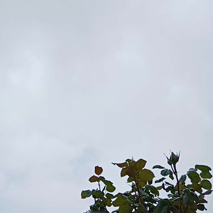 My Crowdsourcing Posts