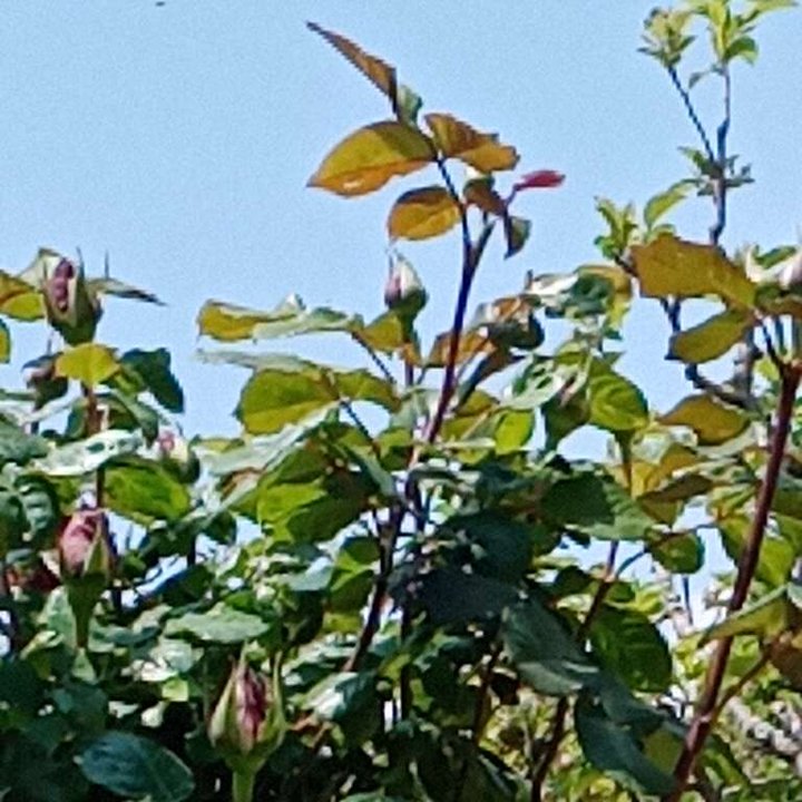 My Crowdsourcing Posts