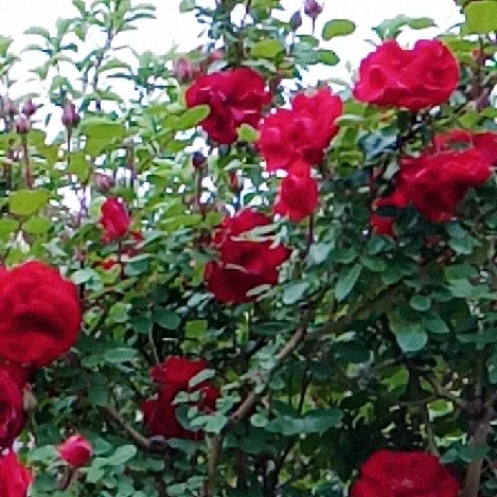 My Crowdsourcing Posts