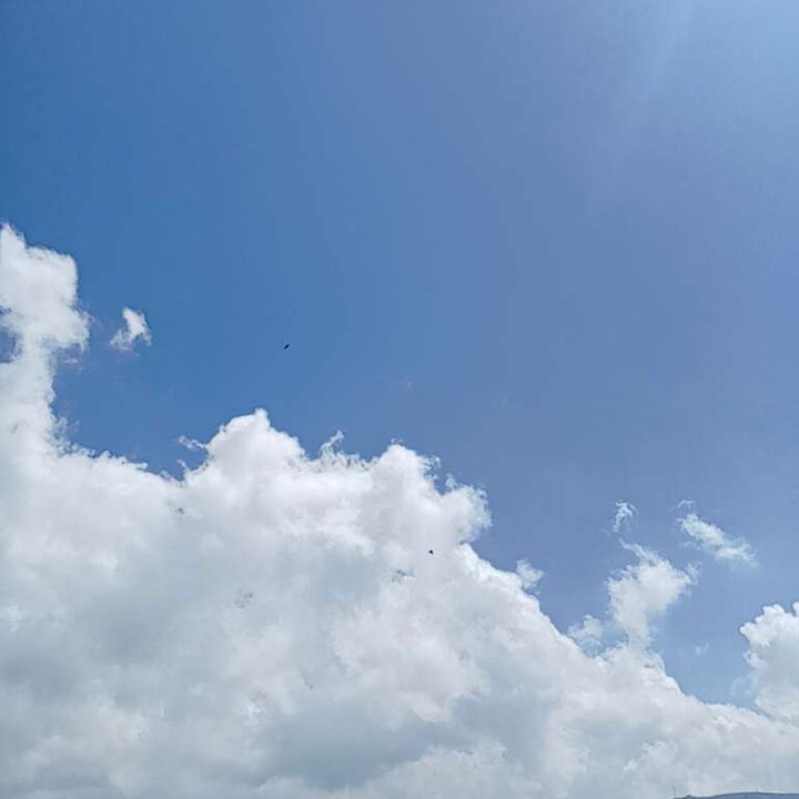 My Crowdsourcing Posts