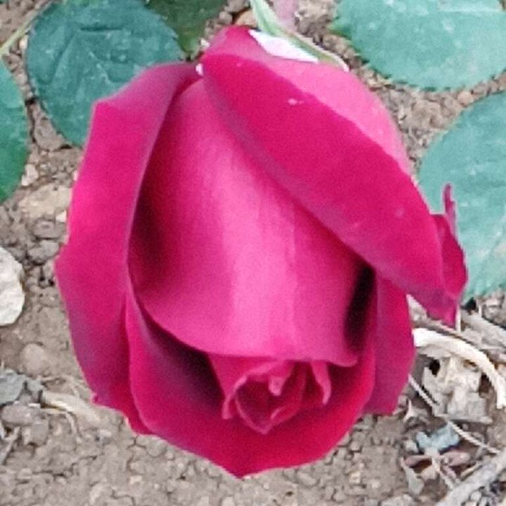 My Crowdsourcing Posts