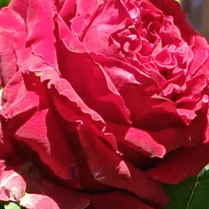 My Crowdsourcing Posts