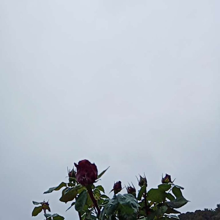 My Crowdsourcing Posts