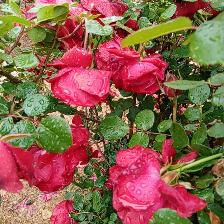 My Crowdsourcing Posts