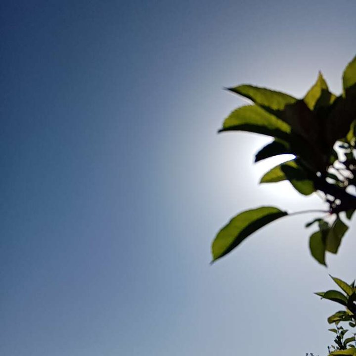 My Crowdsourcing Posts